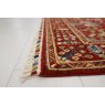 Amiri Red Rug by Gooch Amiri Red Rug by Gooch
