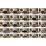Dolce 242cm Sofa by Calia Italia Dolce 242cm Sofa by Calia Italia