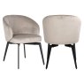Dining Chair Amphara Khaki Velvet by Richmond Interiors Dining Chair Amphara Khaki Velvet by Richmond Interiors