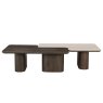 Coffee Table Nando Brown (Set of 2) by Richmond Interiors
