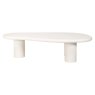 Bloomstone 160 x 80cm Coffee Table - White by Richmond Interiors