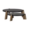Alexander Jones Charcoal Coffee Table (Brody) - Set of 2 by Richmond Interiors