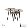 Coffee Table Volenta Champagne Gold (Set of 3) by Richmond Interiors