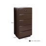 Multi Drawer Cabinet Lizzie Chestnut by Richmond Interiors Multi Drawer Cabinet Lizzie Chestnut by Richmond Interiors