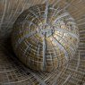 Oriana Orb